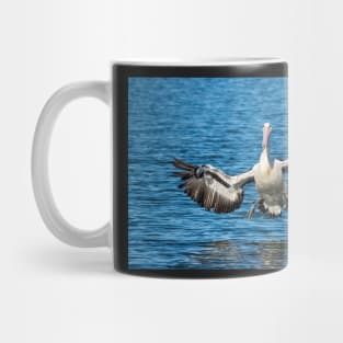 Splashdown Imminent: Pelican, Caloundra Mug